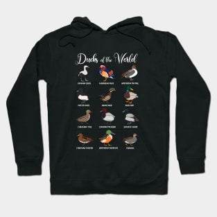 Different types of ducks - Ducks of the world Hoodie